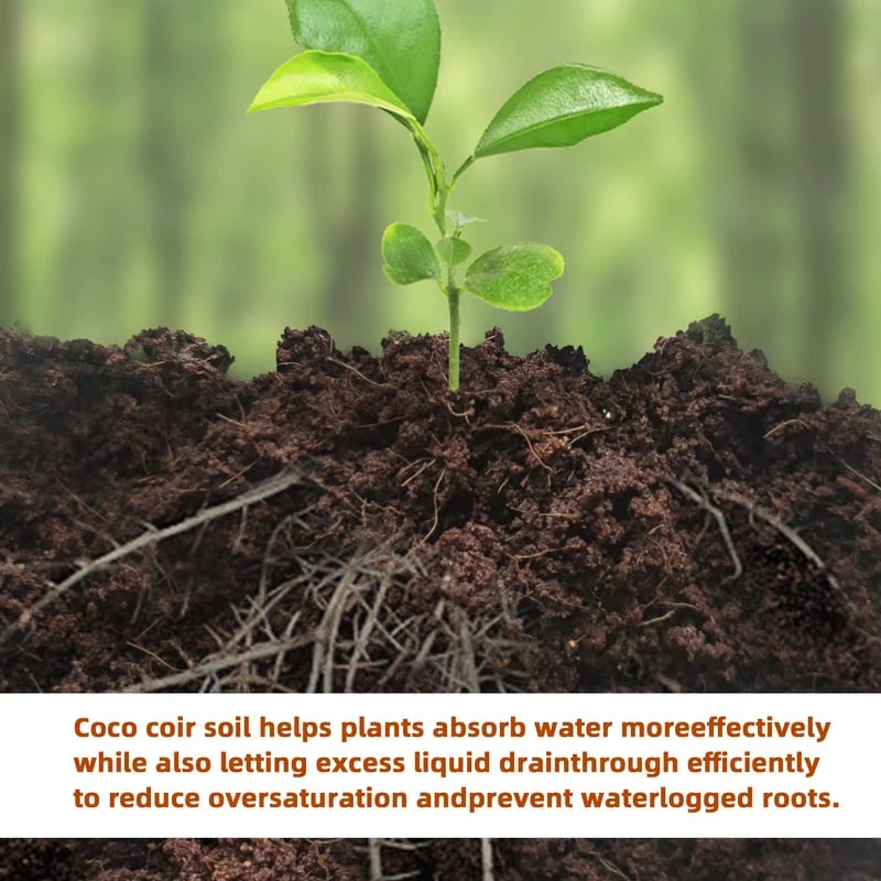 🔥LAST DAY 49% OFF🌱Premium Organic Coconut Coir Bricks for Plants